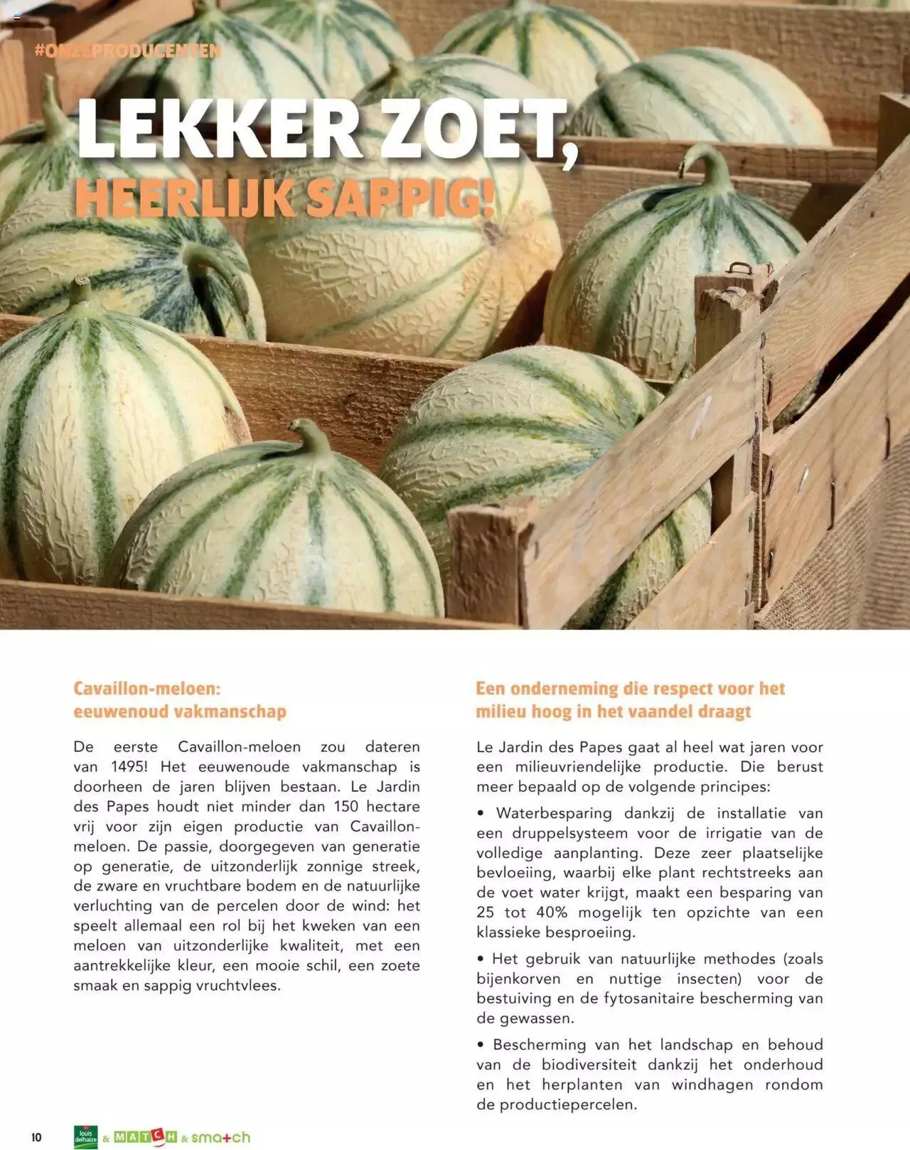Match Supermarché - Het Mag Summer 2023 van 26 juni tot 31 december 2023 - folder pagina 10