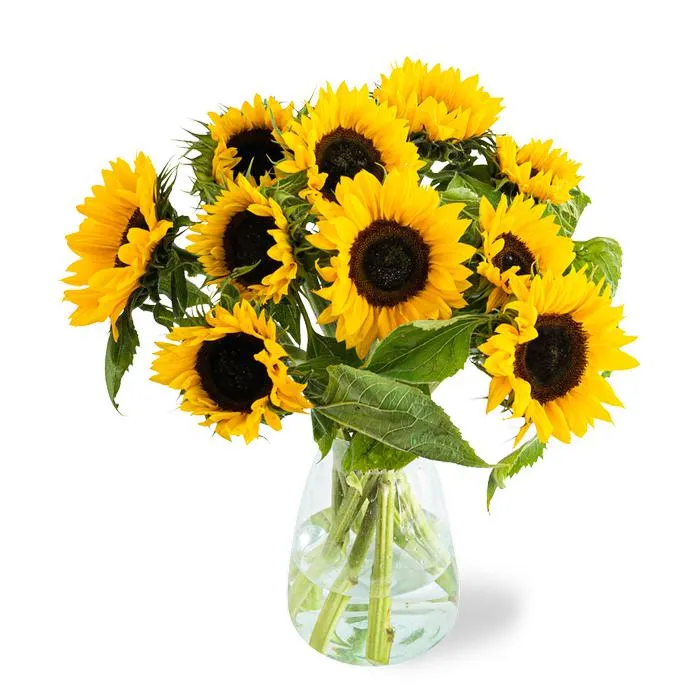 Boeket Zonnebloemen | M/L
