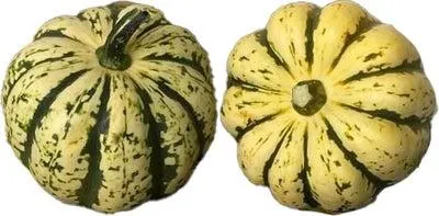Pompoen (Cucurbita 'Heart of Gold') D 5 cm