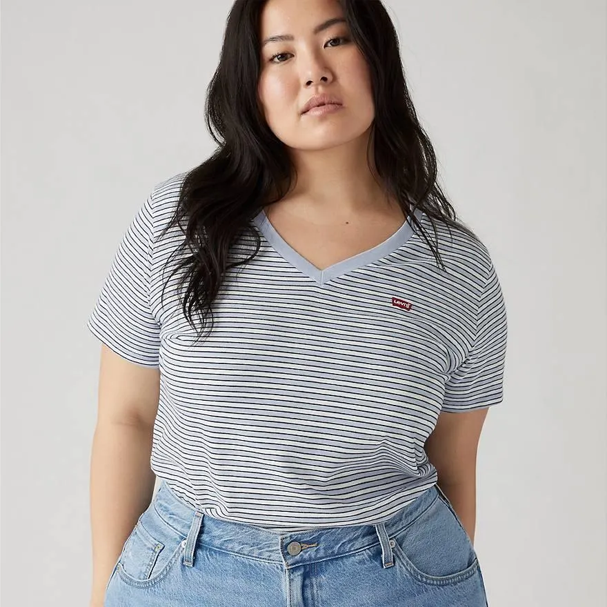 The Perfect V-neck Tee (plus Size)