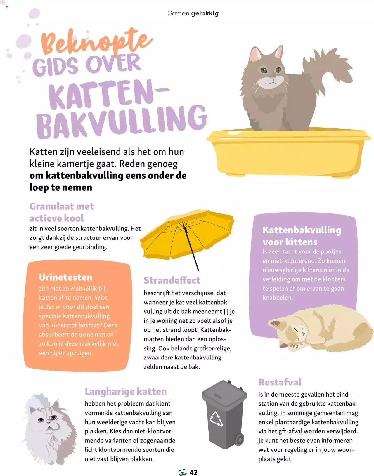 Maxi Zoo folder van 1 januari tot 31 december 2024 - folder pagina 42