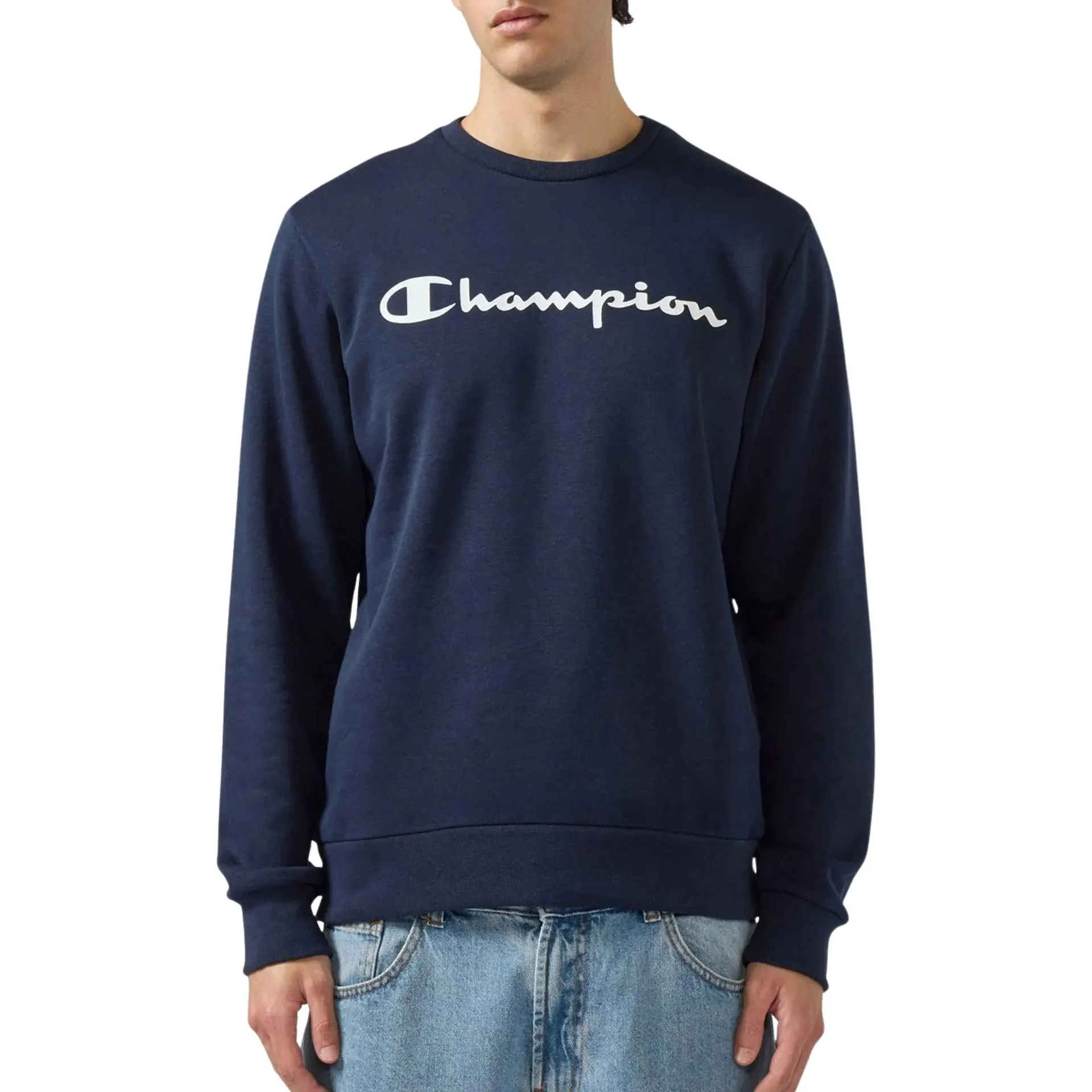 Script Logo Crewneck Sweater Heren