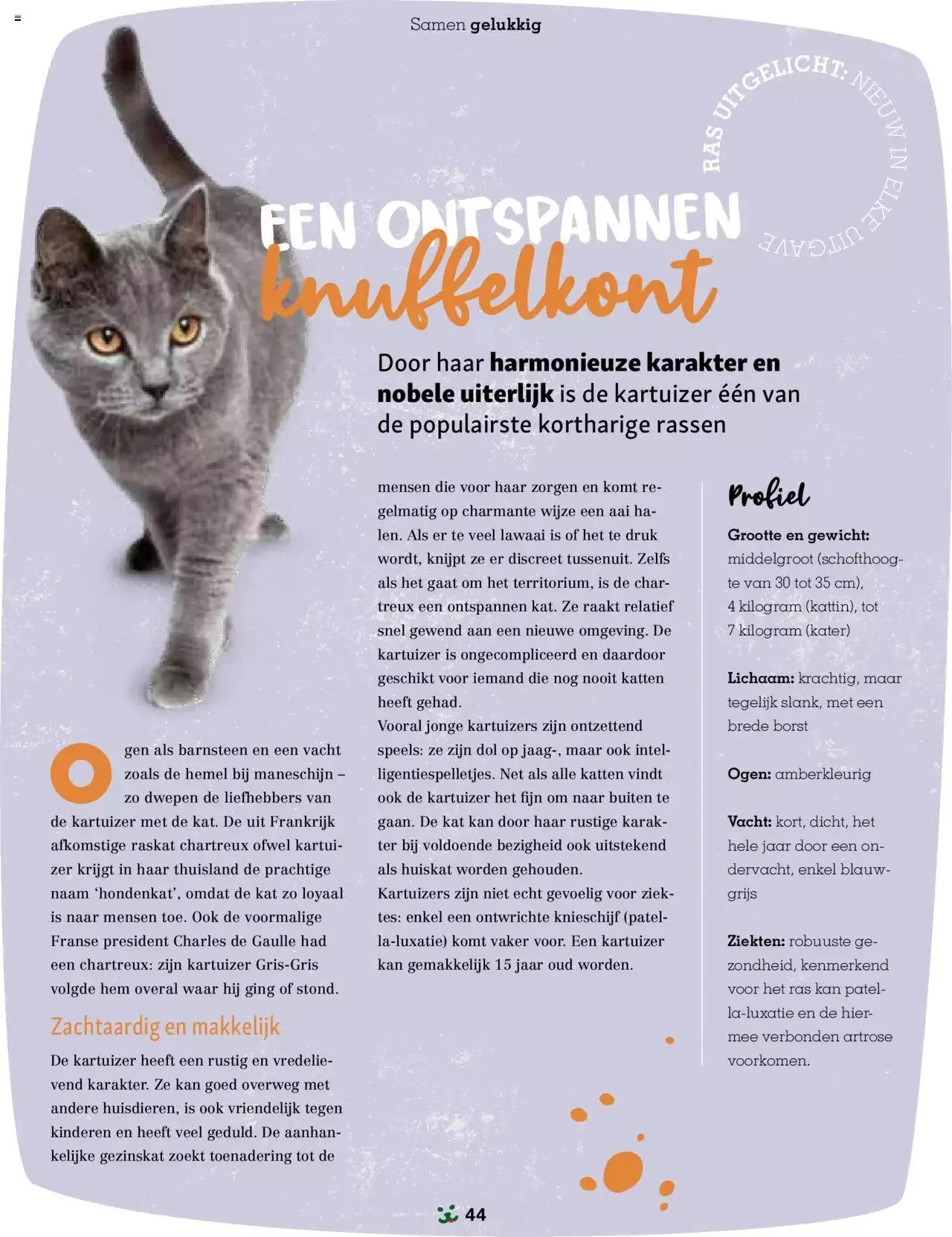 Maxi Zoo folder van 1 januari tot 31 december 2024 - folder pagina 44