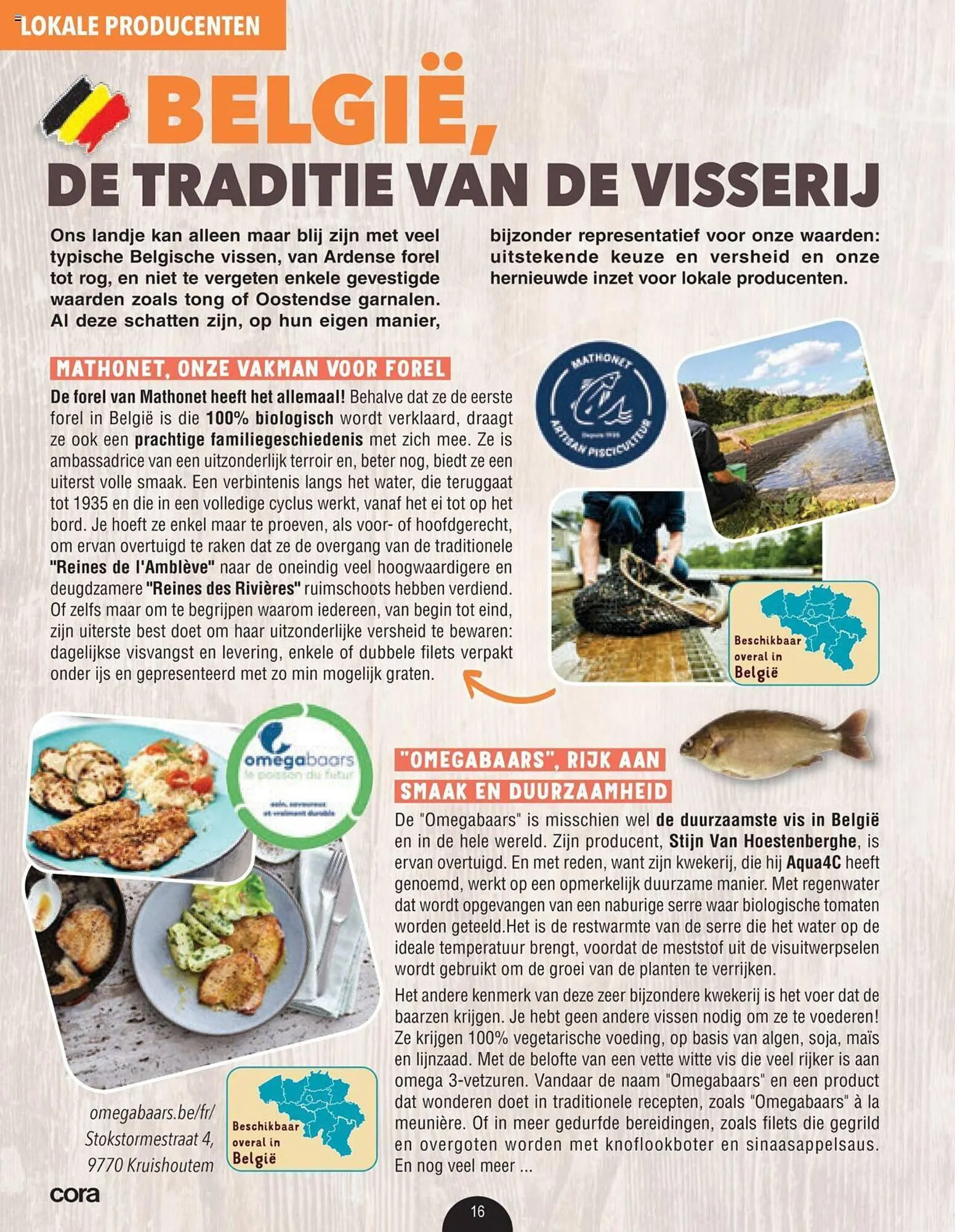 Cora Folder van 11 mei tot 30 september 2023 - folder pagina 16