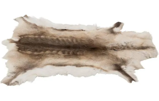 Tierfell Rentier 2 Goossens