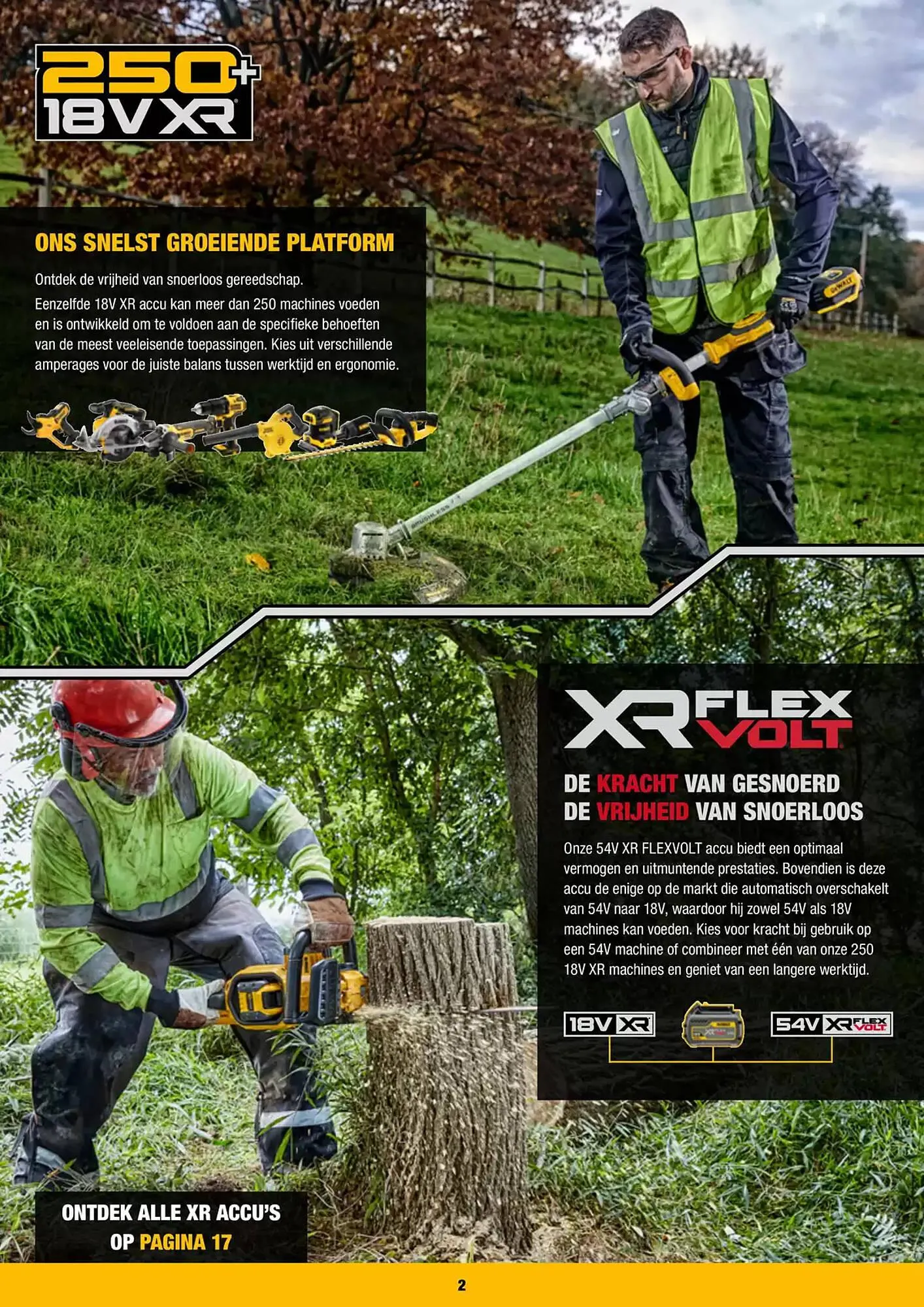 DeWALT folder van 3 februari tot 30 april 2025 - folder pagina 2