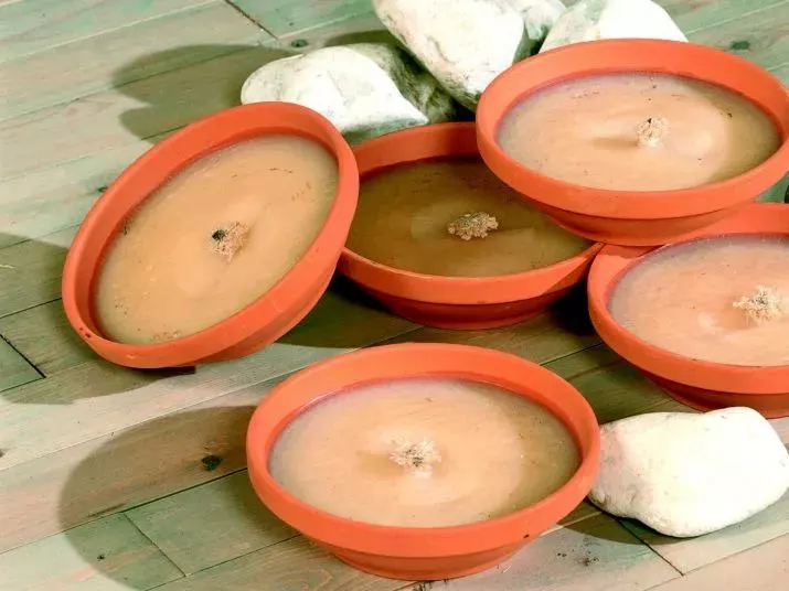 Tuinkaars Royal Flame 13u ivoor