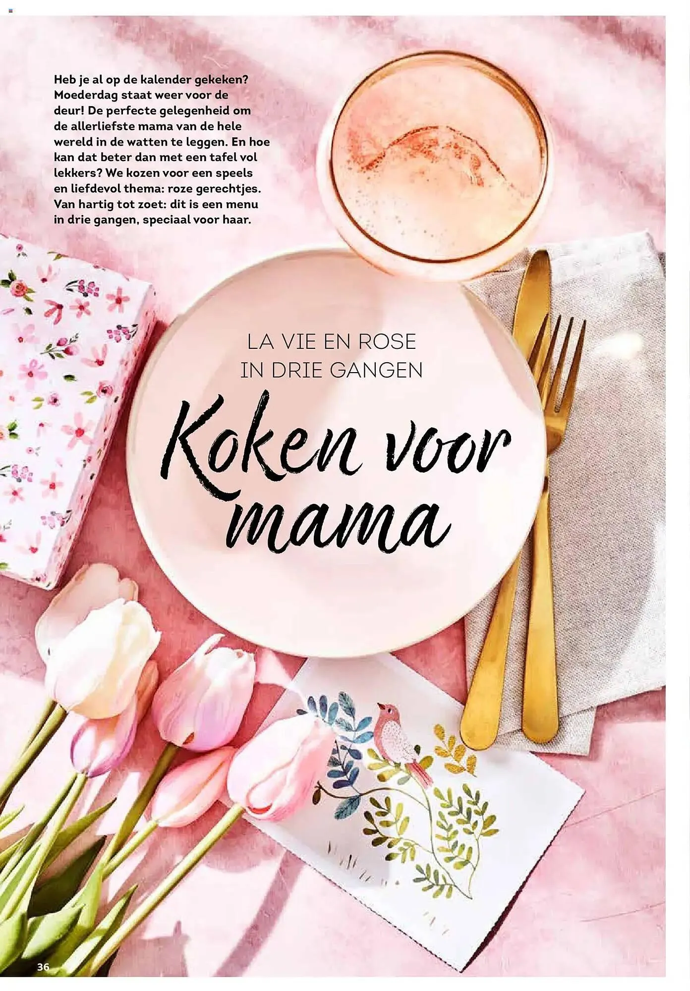 Alvo magazine van 25 maart tot 25 mei 2026 - folder pagina 36