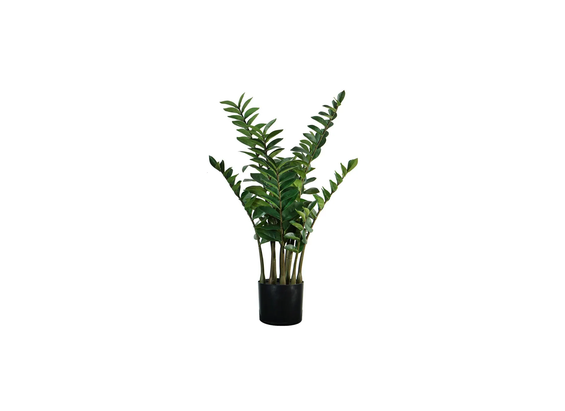 Kunstplant Zamio H90cm