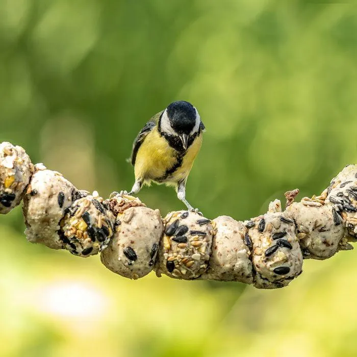 Vogelpindakaas-boetseerklei 1kg