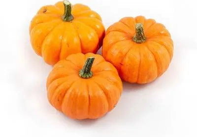 Pompoen (Cucurbita 'Jack Be Little') D 10 cm