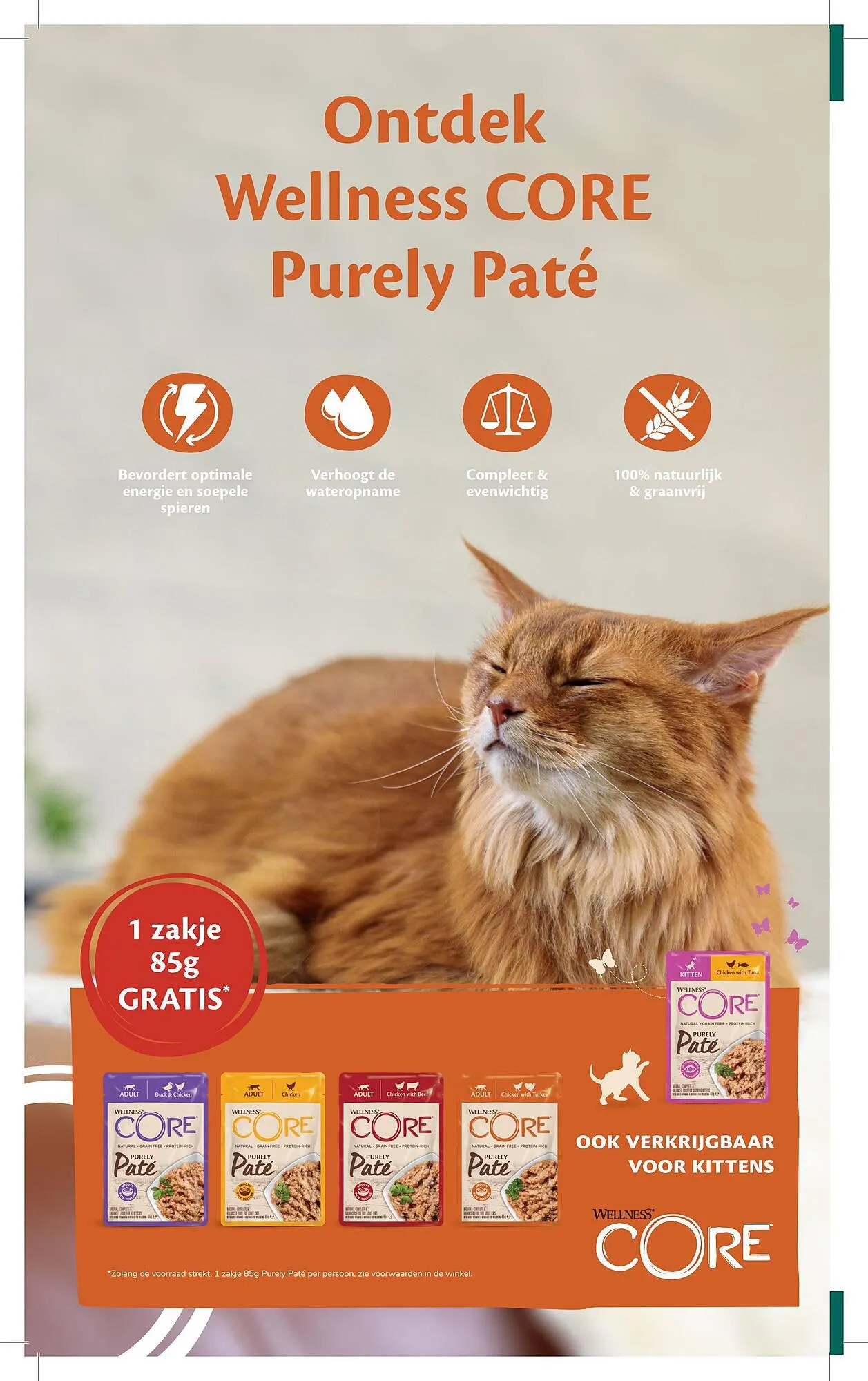 Tom&Co folder van 10 januari tot 21 januari 2024 - folder pagina 6