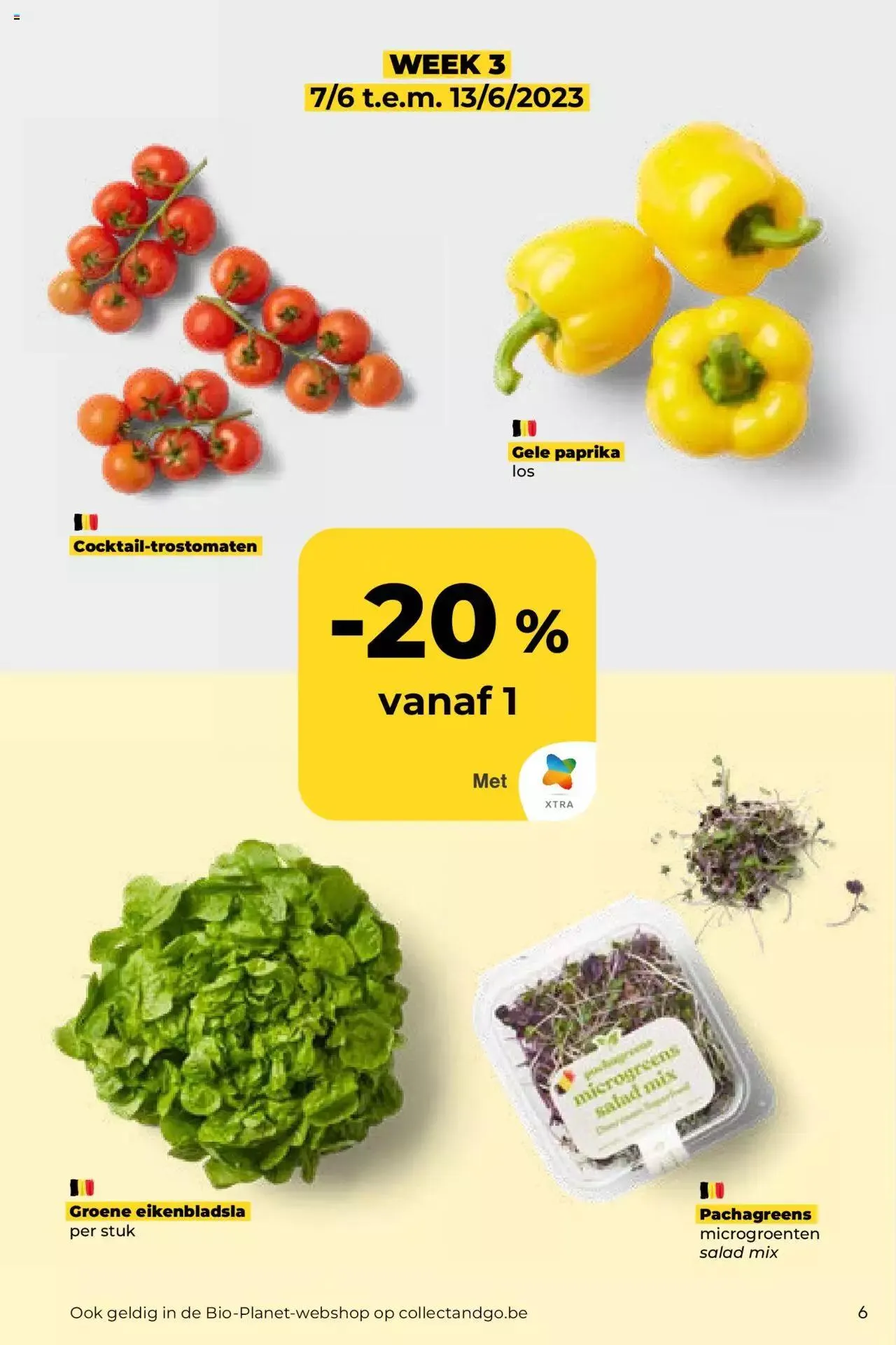 BioPlanet folder van 20 juni tot 31 december 2023 - folder pagina 6
