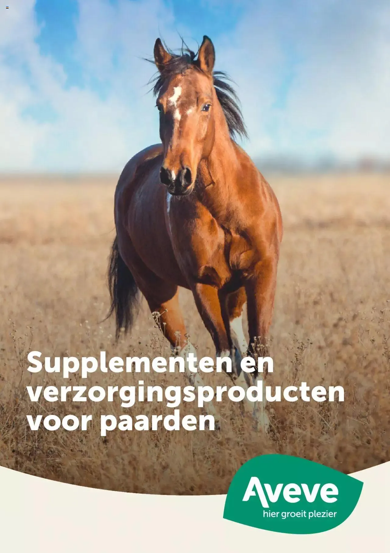 Aveve Paardensupplementen van 1 juni tot 31 december 2024 - folder pagina 1