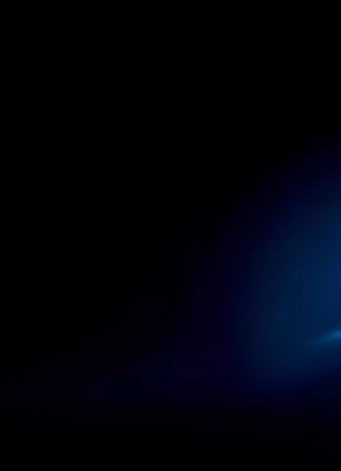 Catalogus 2025 van 17 januari tot 17 januari 2026 - folder pagina 250