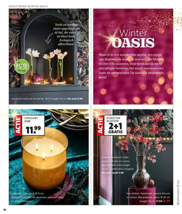 Intratuin folder tot 09.11.2025 van 1 november tot 9 november 2025 - folder pagina 10