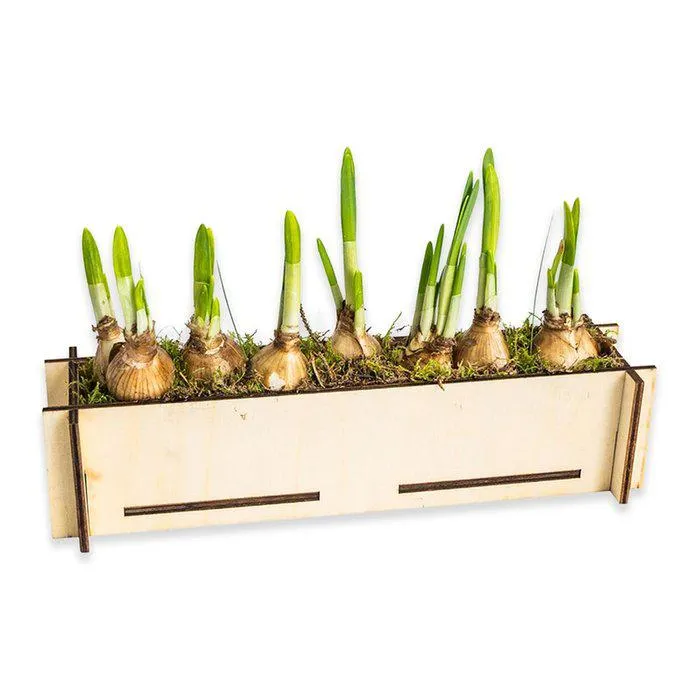 Brievenbus Narcissen