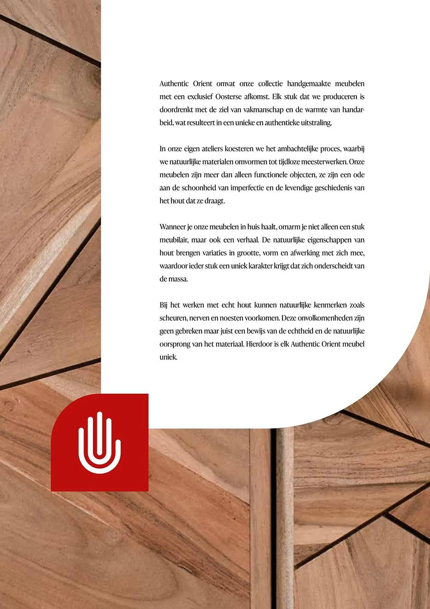 Crack folder van 21 januari tot 21 januari 2027 - folder pagina 3