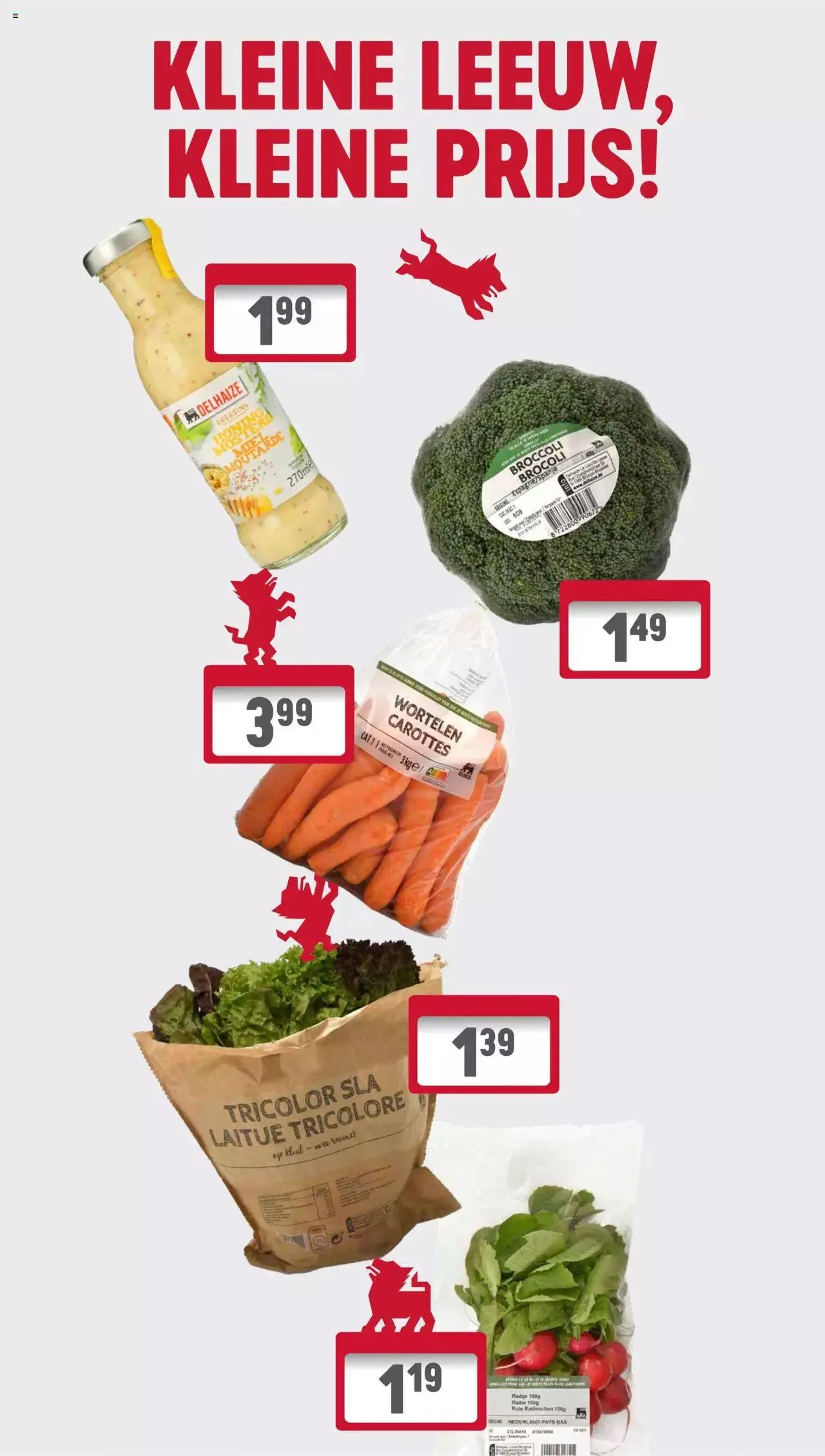 Delhaize Folder week 26 van 5 juli tot 31 december 2023 - folder pagina 17