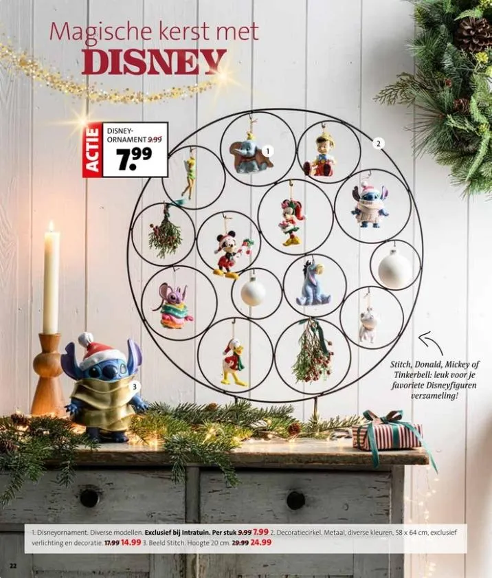 Intratuin folder tot 09.11.2025 van 1 november tot 9 november 2025 - folder pagina 22