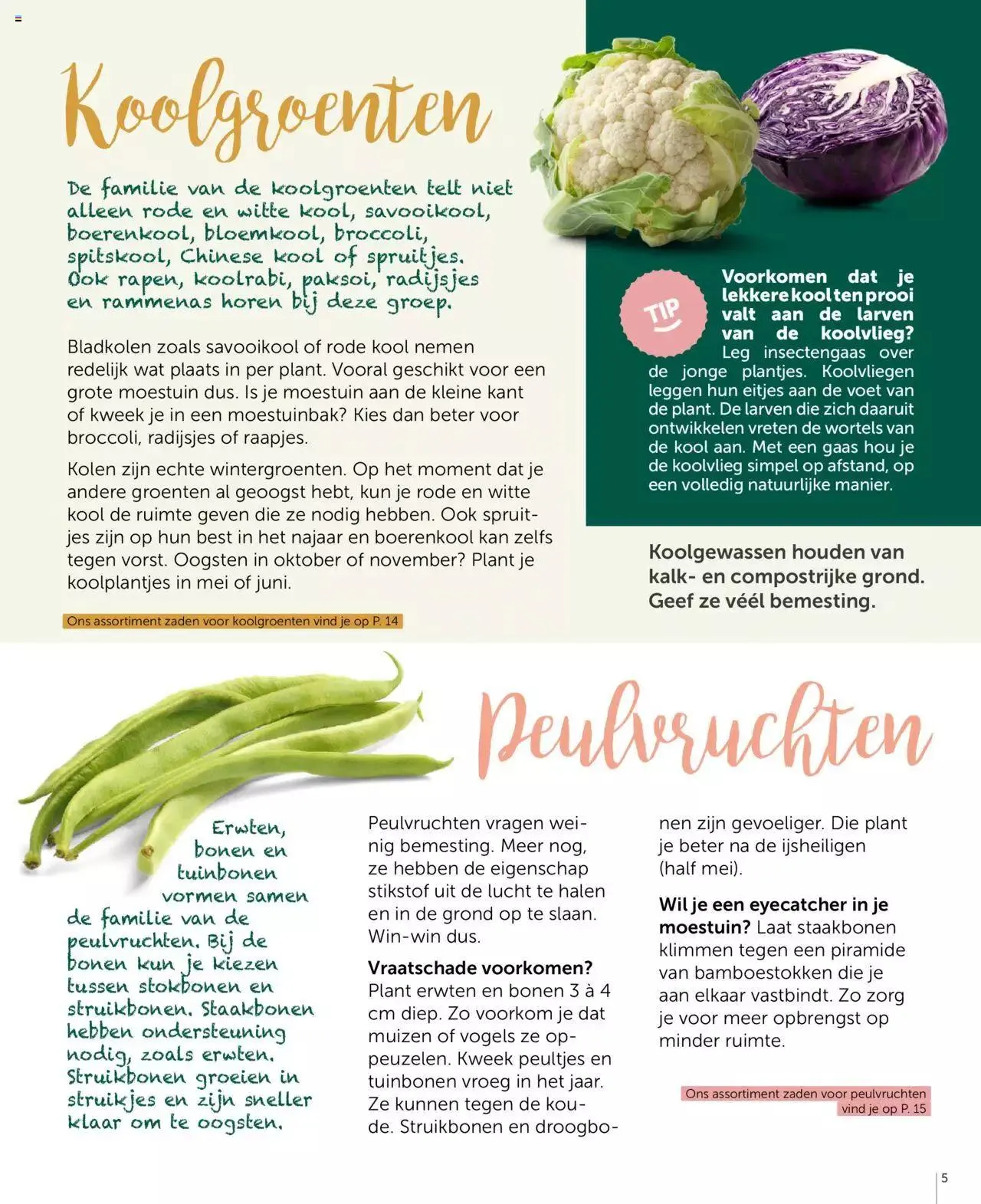 Aveve groente- en kruidengids van 31 december tot 31 december 2023 - folder pagina 5