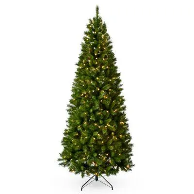 National Tree Company 31HCAN70L Canton Slim LED - 213 cm