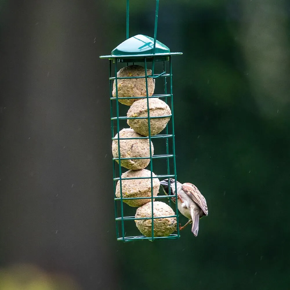 Startpakket vetbolhouder met 6 vetbollen met insectenvet