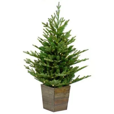 Our Nordic Christmas 31NORT91L Nordmann Entrance Tree Wooden Pot LED - 91 cm