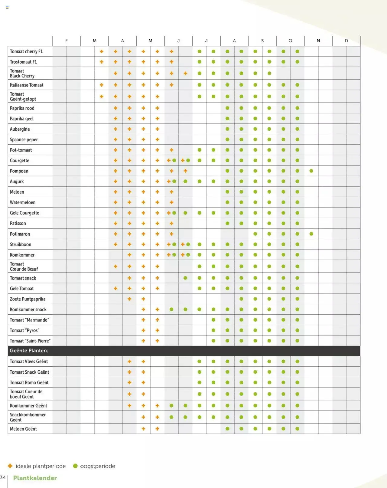Aveve groente- en kruidengids van 31 december tot 31 december 2023 - folder pagina 34