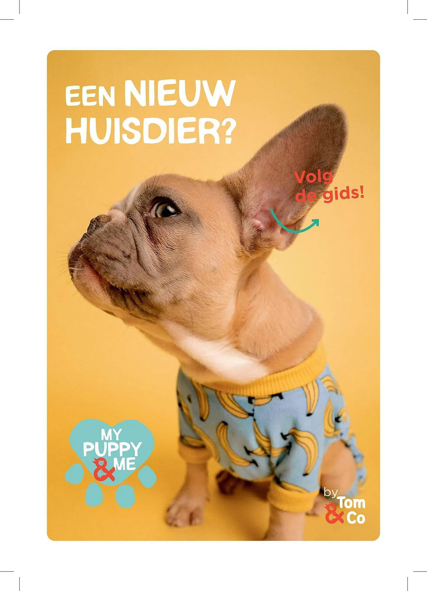 Tom&Co folder van 19 december tot 23 december 2023 - folder pagina 