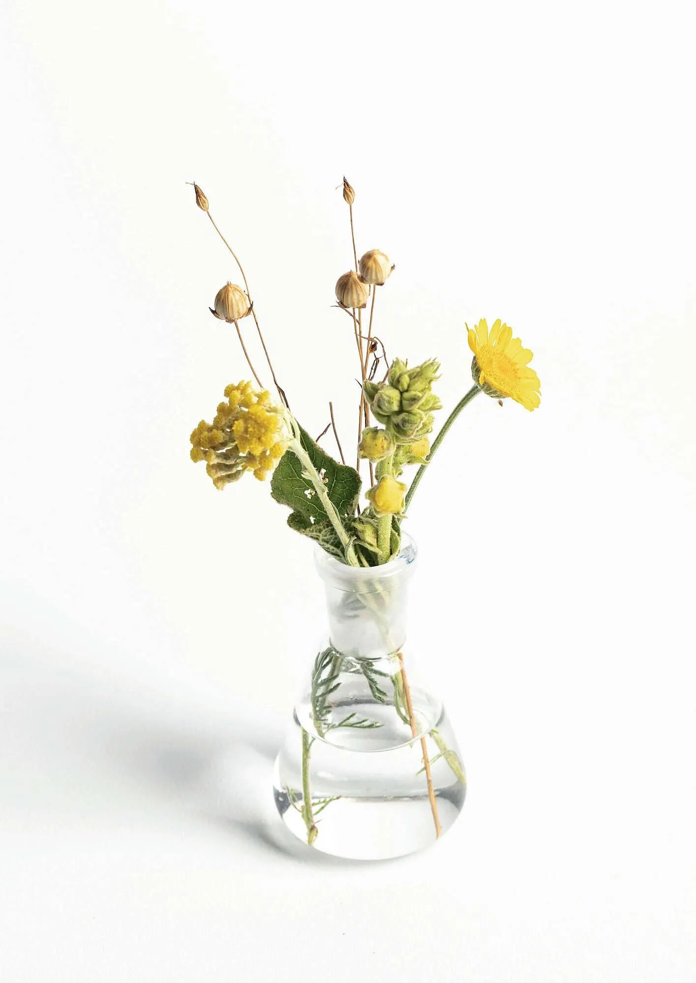 Pro-Duo folder van 1 maart tot 7 maart 2026 - folder pagina 9