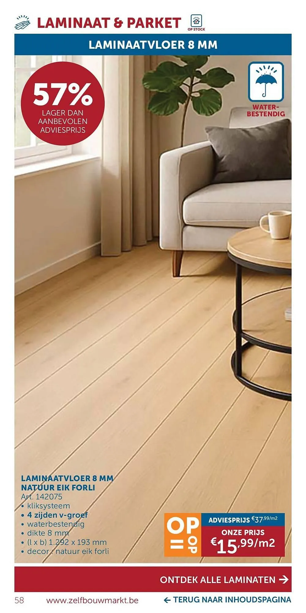 Zelfbouwmarkt folder van 14 oktober tot 10 november 2025 - folder pagina 58