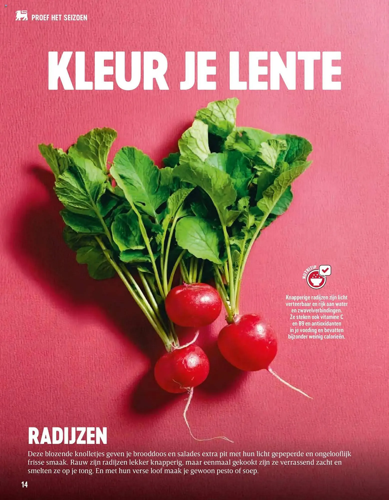 Delhaize magazine van 2 april tot 31 mei 2026 - folder pagina 14