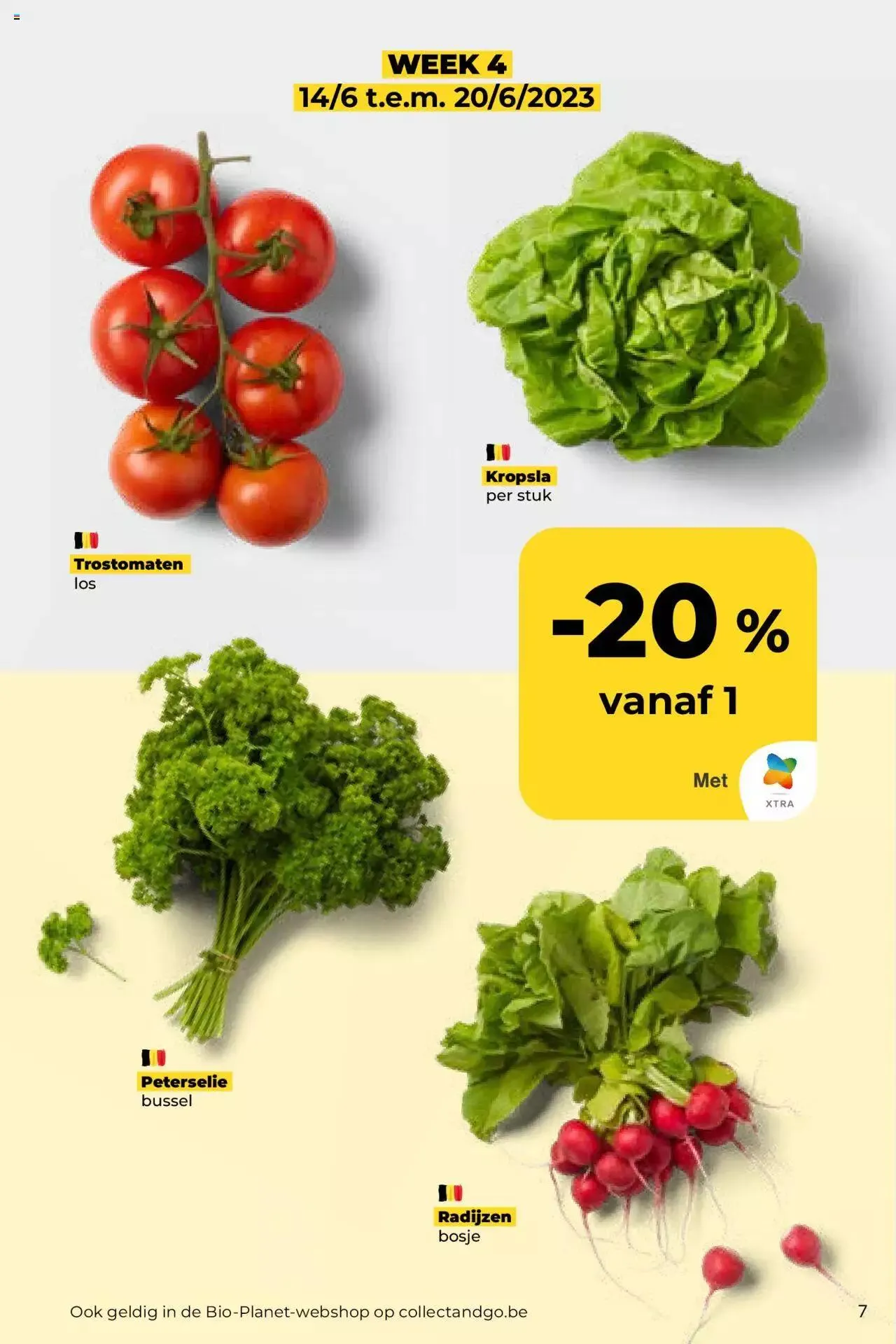 BioPlanet folder van 20 juni tot 31 december 2023 - folder pagina 7