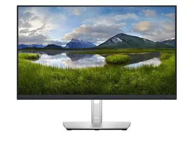 DELL P2422H - 23.8"