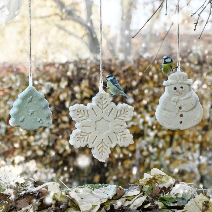 3 Vettraktaties in kerstvormen