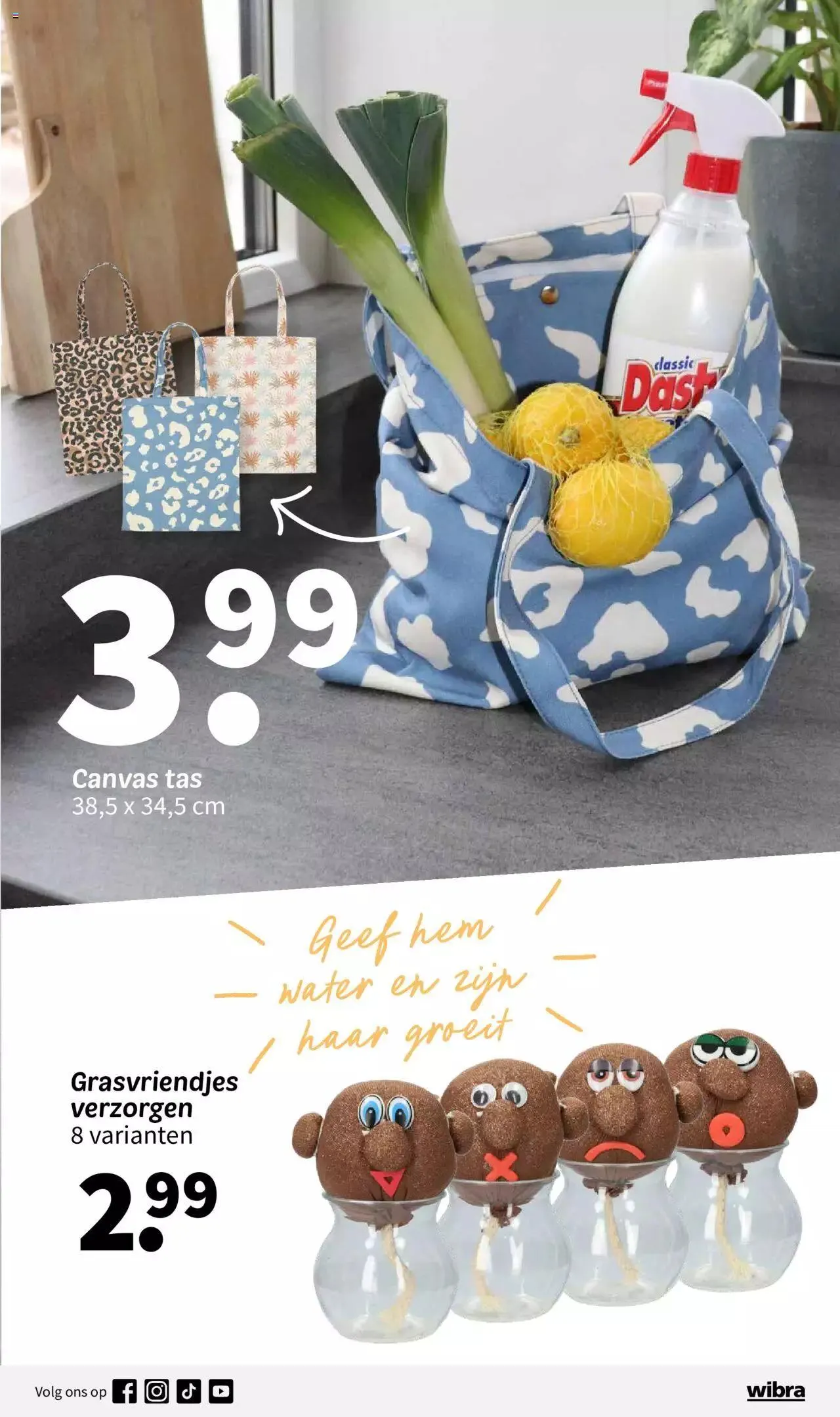 Wibra folder van 17 maart tot 16 maart 2024 - folder pagina 17