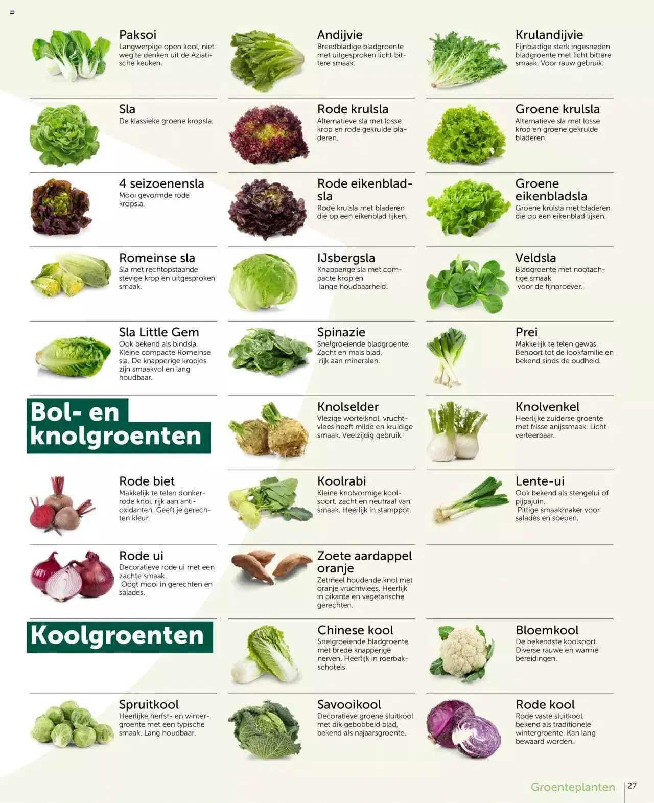 Aveve groente- en kruidengids van 31 december tot 31 december 2023 - folder pagina 27