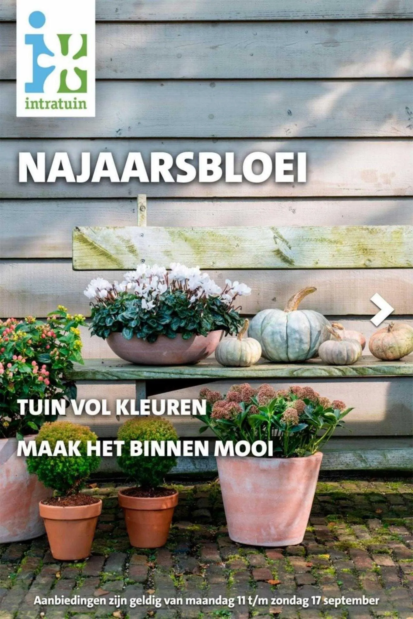 Intratuin Folder - 1