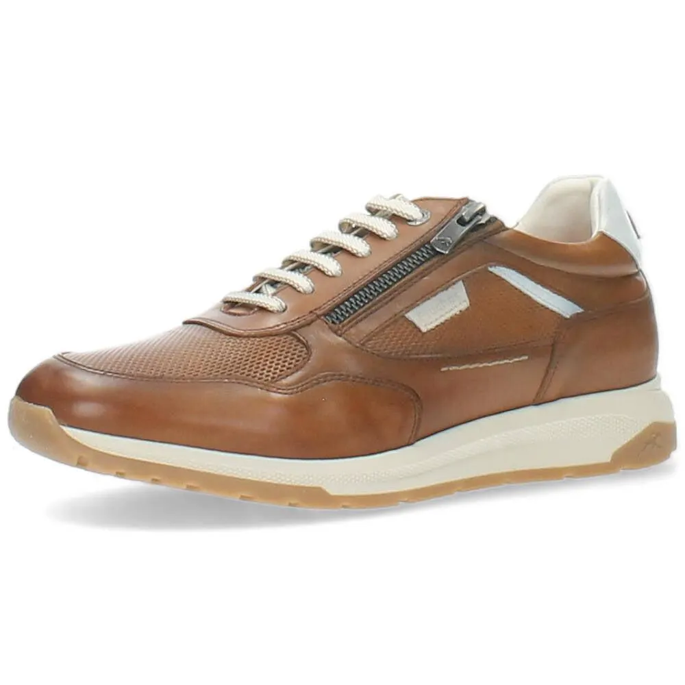 cognac sneaker