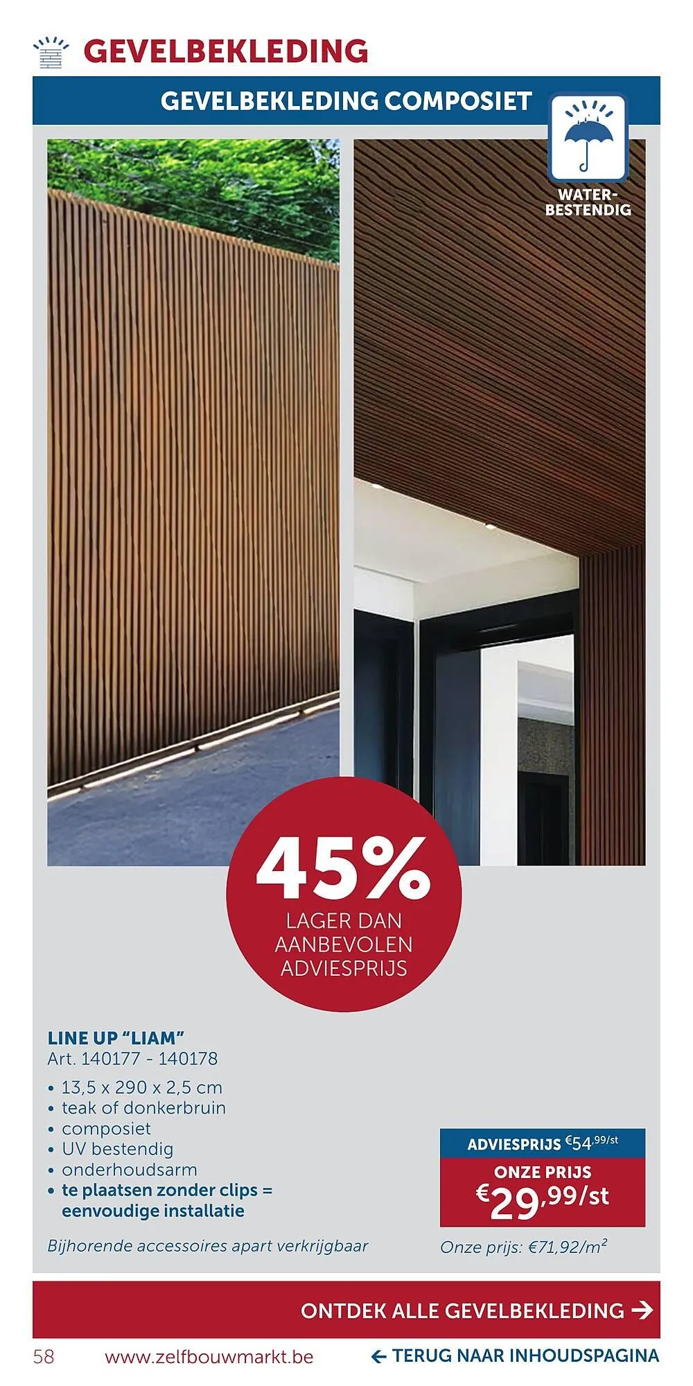 Zelfbouwmarkt folder van 15 december tot 19 januari 2026 - folder pagina 58