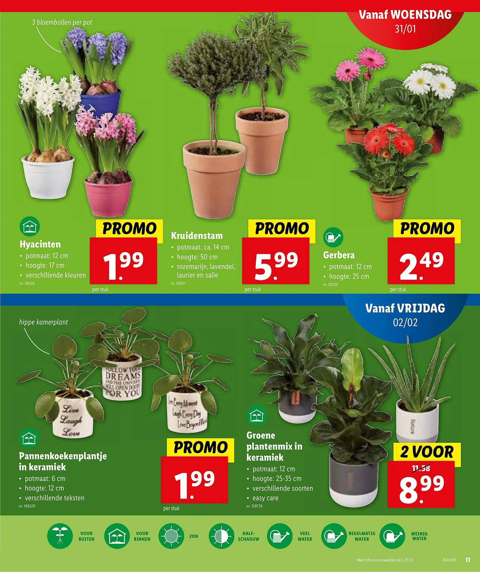 Lidl Folder van 31 januari tot 2 februari 2024 - folder pagina 12