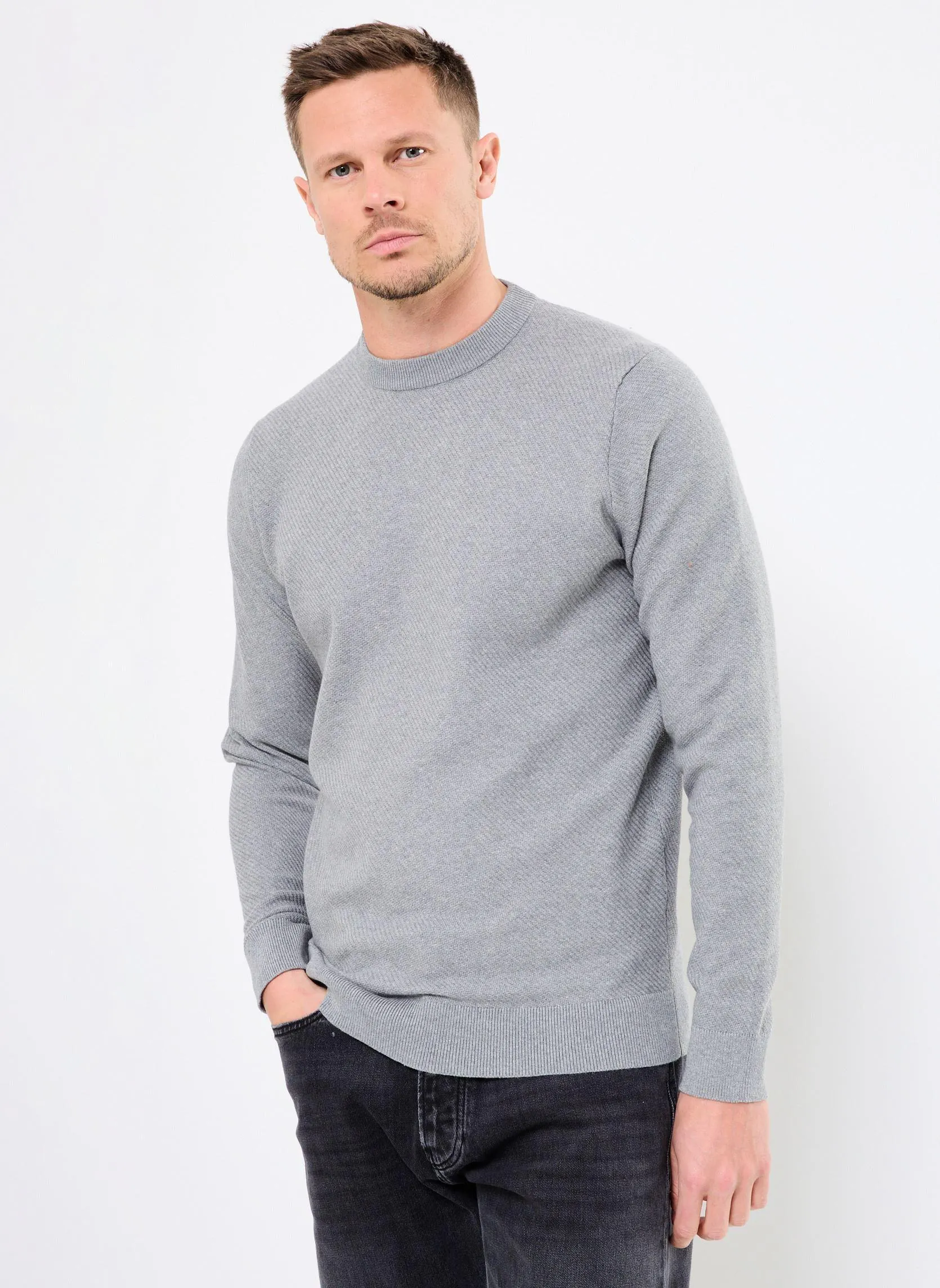 Truien MERNEST heren grijs