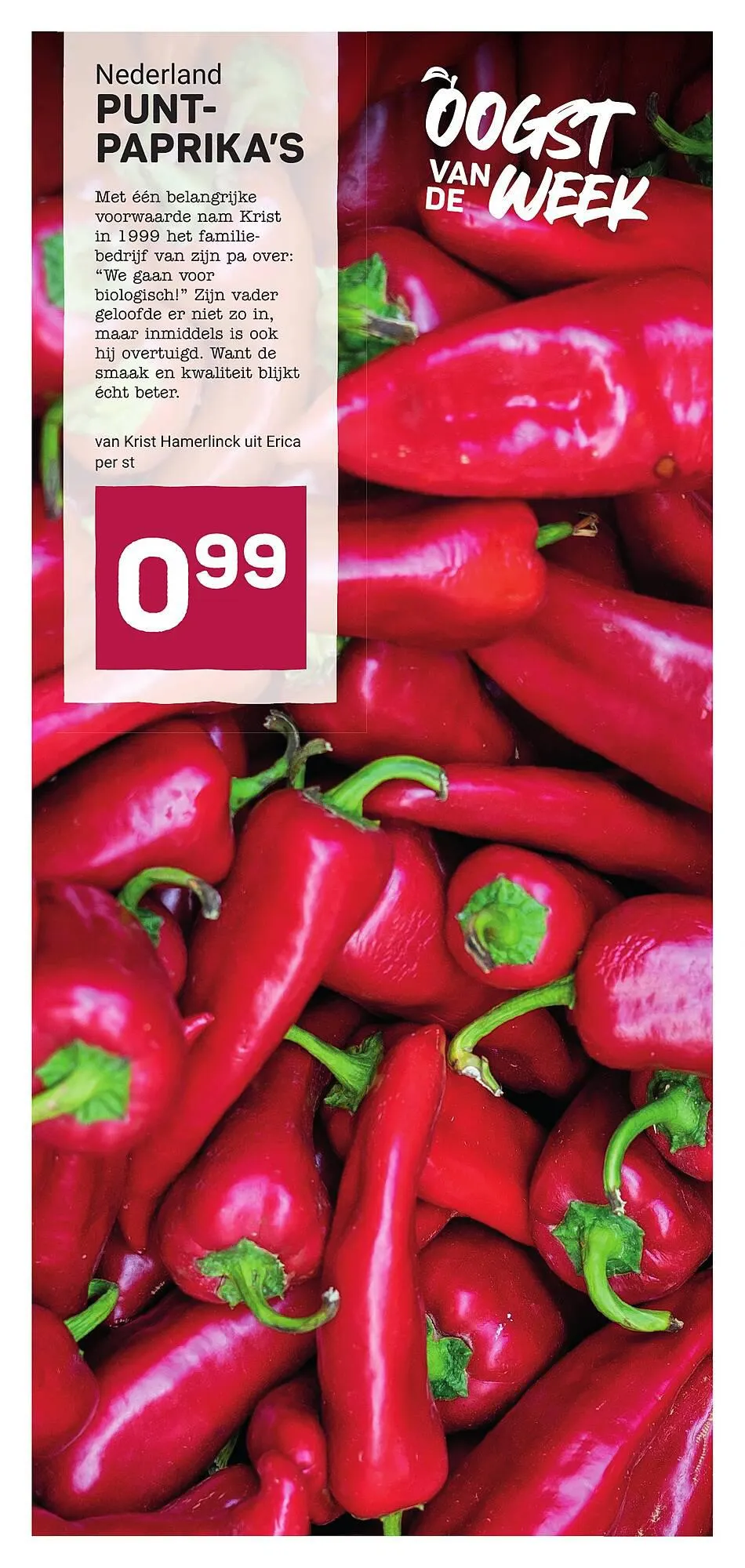 Ekoplaza Folder van 18 augustus tot 18 augustus 2023 - folder pagina 2