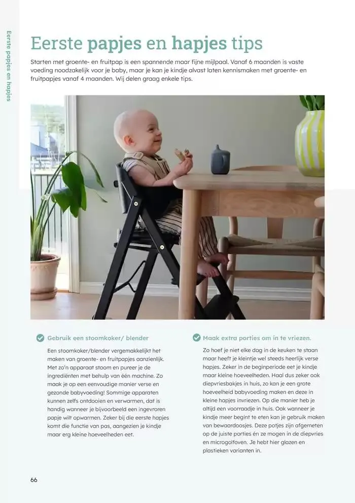 Babycatalogus  van 10 februari tot 31 december 2025 - folder pagina 66