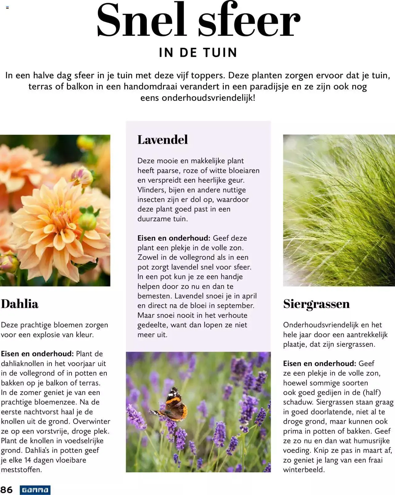 GAMMA tuinmagazine 2022 van 22 maart tot 31 december 2023 - folder pagina 86