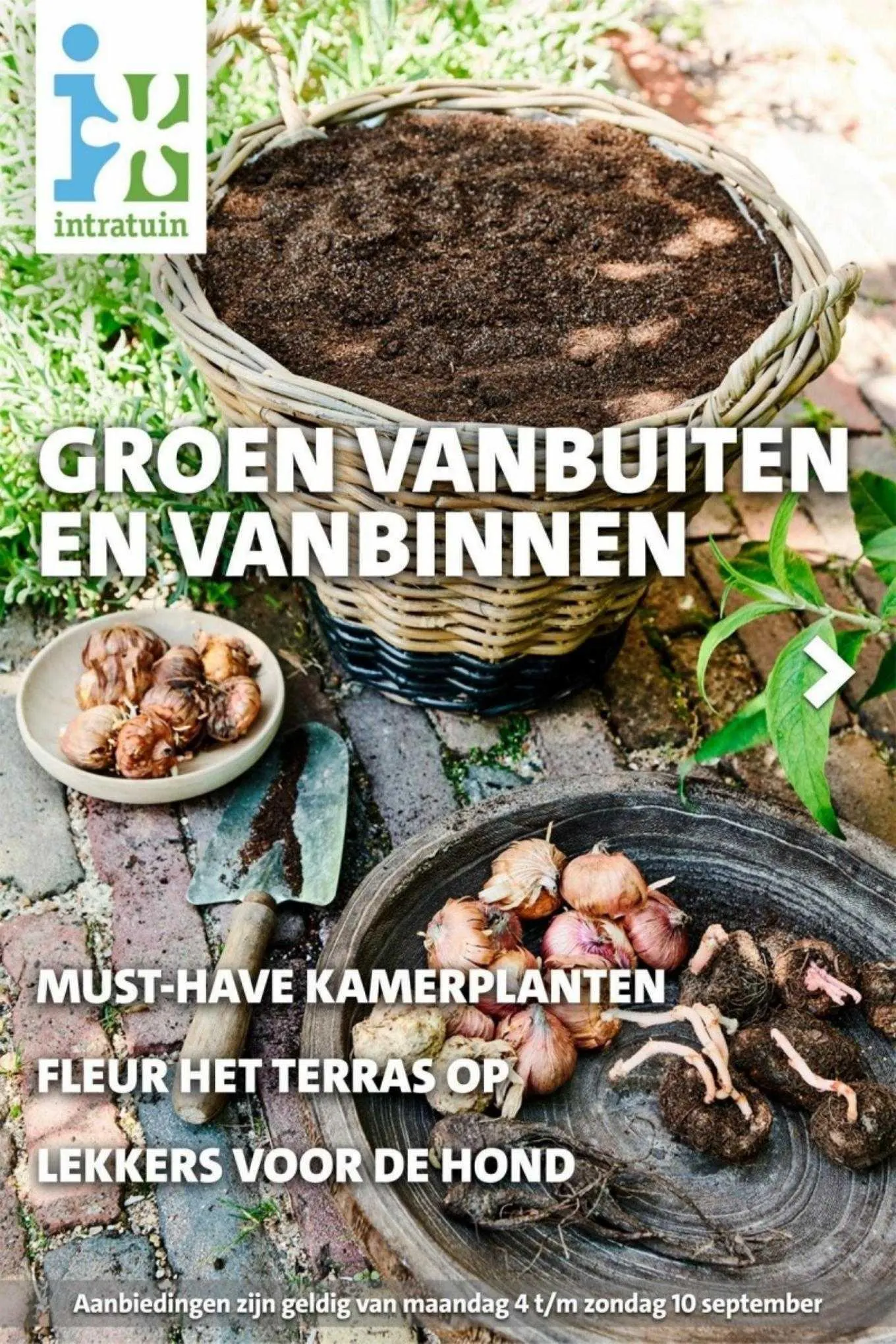 Intratuin Folder - 1