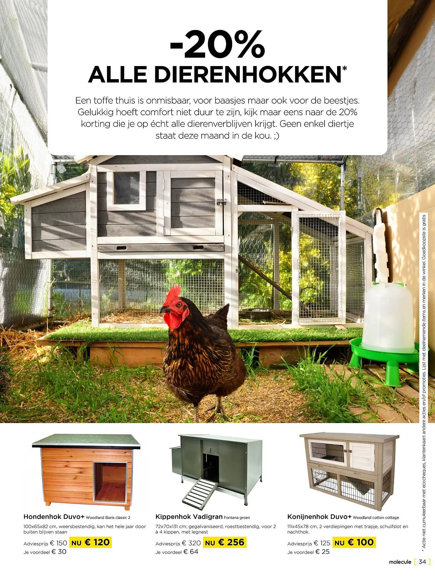 Molecule folder van 1 november tot 30 november 2023 - folder pagina 34