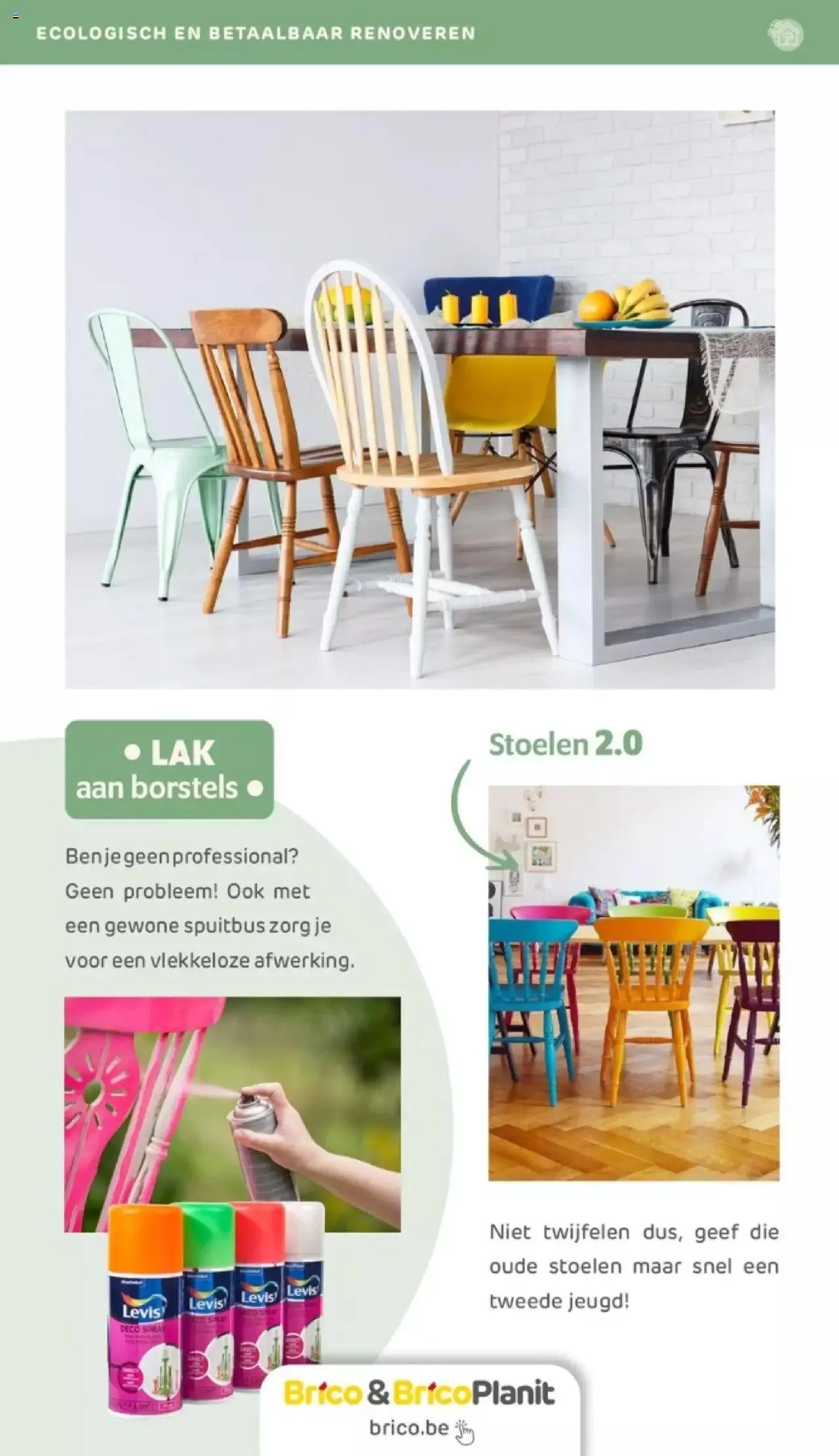 Brico - Verfmagazine van 14 juni tot 31 december 2023 - folder pagina 17