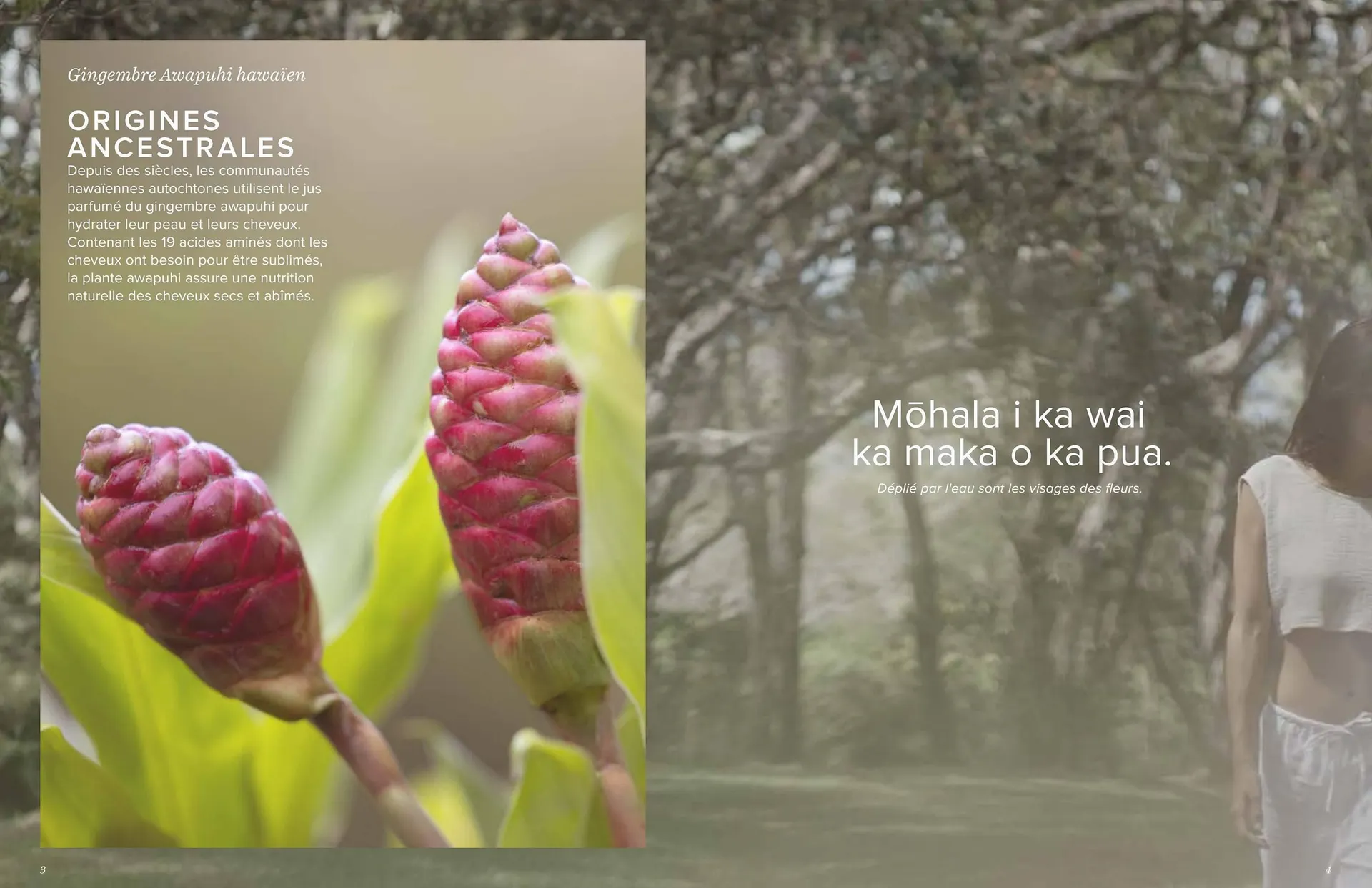 Pro-Duo folder van 1 maart tot 30 april 2024 - folder pagina 23